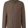 S.Oliver Red Label Steppjacke, Stehkragen, Für Herren 8818 BROWN 5