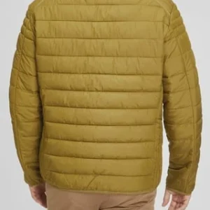 S.Oliver Red Label Steppjacke, Stehkragen, Für Herren 7712 GREEN 12