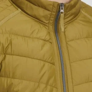 S.Oliver Red Label Steppjacke, Stehkragen, Für Herren 7712 GREEN 16