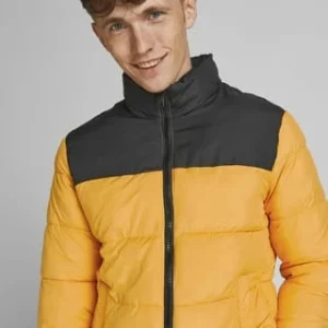 ORIGINALS By JACK & JONES Steppjacke, Vielfältige Reißverschlusstaschen, Stehkragen, Für Herren Gelb 12