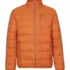 GLOBETROTTER Steppjacke, Stehkragen, Reißverschlusstaschen, Für Herren ORANGE 25